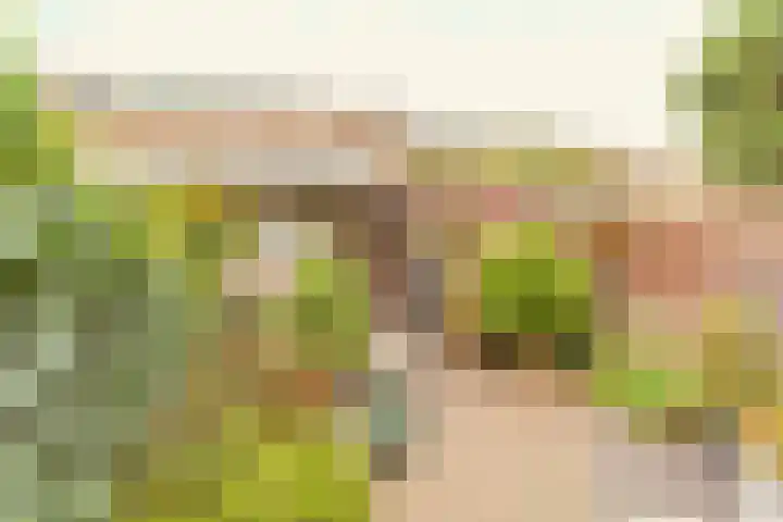 Linde 11 Naaldwijk thumbnail 30