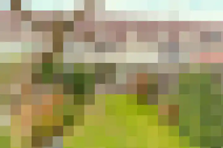 Linde 11 Naaldwijk thumbnail 32
