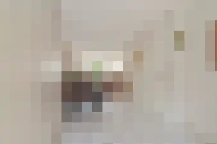 Linde 11 Naaldwijk thumbnail 7