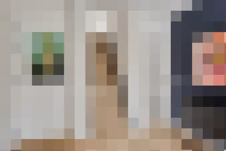 Linde 12 Mierlo thumbnail 10
