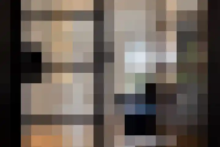 Linde 12 Mierlo thumbnail 15
