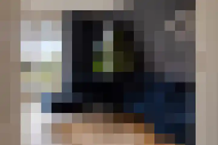 Linde 12 Mierlo thumbnail 19