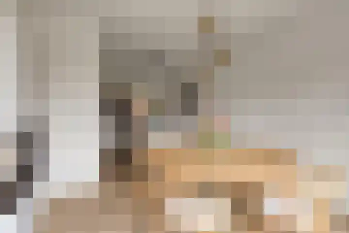 Linde 12 Mierlo thumbnail 27