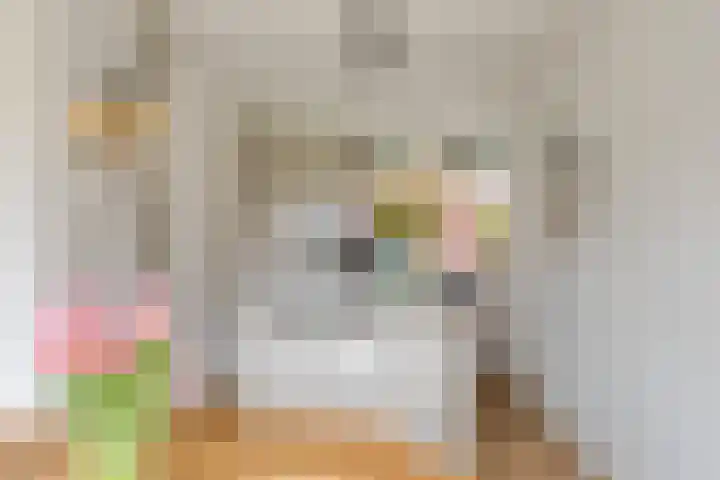 Linde 12 Mierlo thumbnail 28