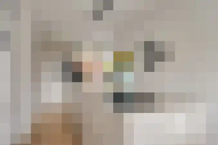 Linde 12 Mierlo thumbnail 30