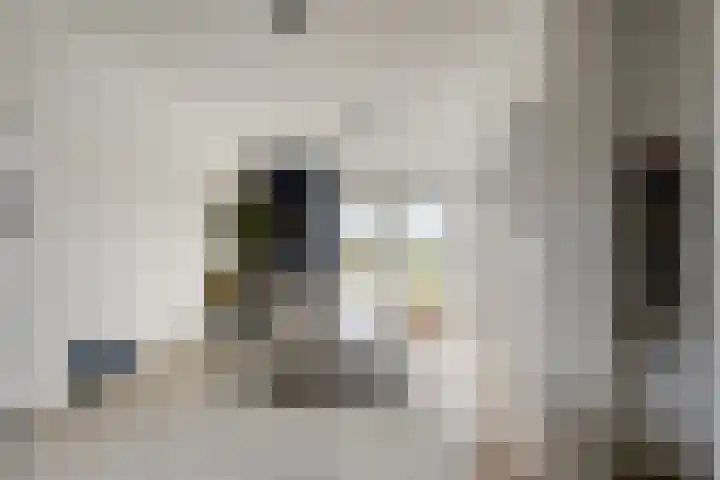 Linde 12 Mierlo thumbnail 31
