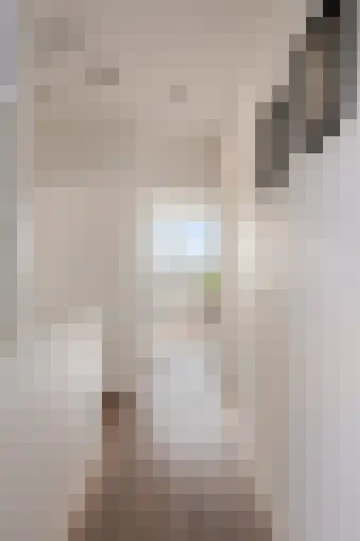 Linde 12 Mierlo thumbnail 38