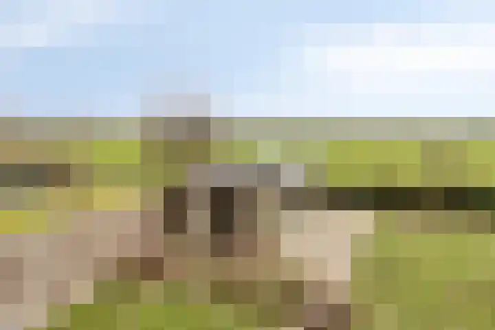Linde 12 Mierlo thumbnail 42