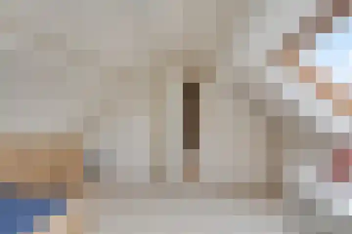 Linde 12 Mierlo thumbnail 59