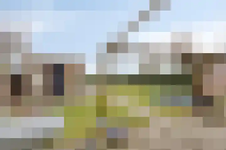 Linde 12 Mierlo thumbnail 60