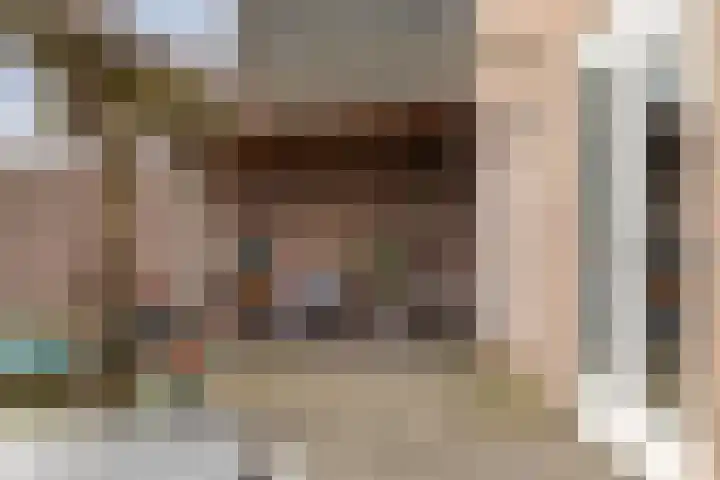 Linde 12 Mierlo thumbnail 66