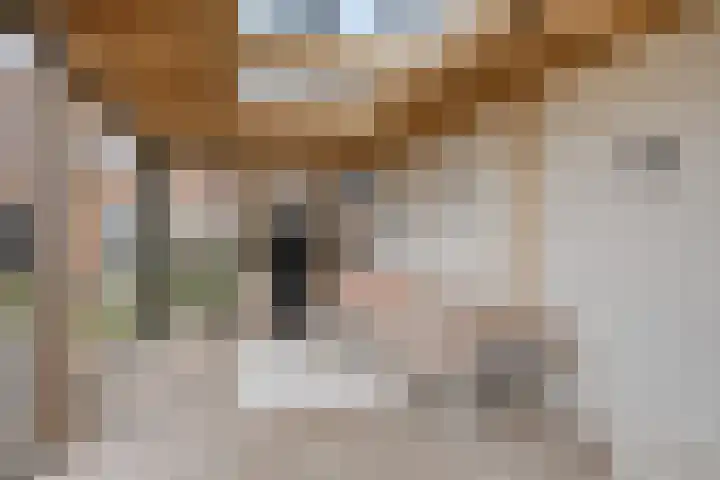 Linde 12 Mierlo thumbnail 68