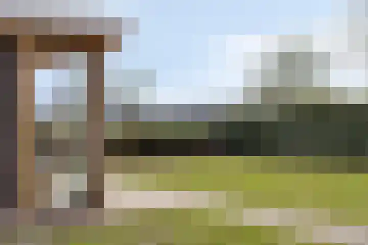 Linde 12 Mierlo thumbnail 70