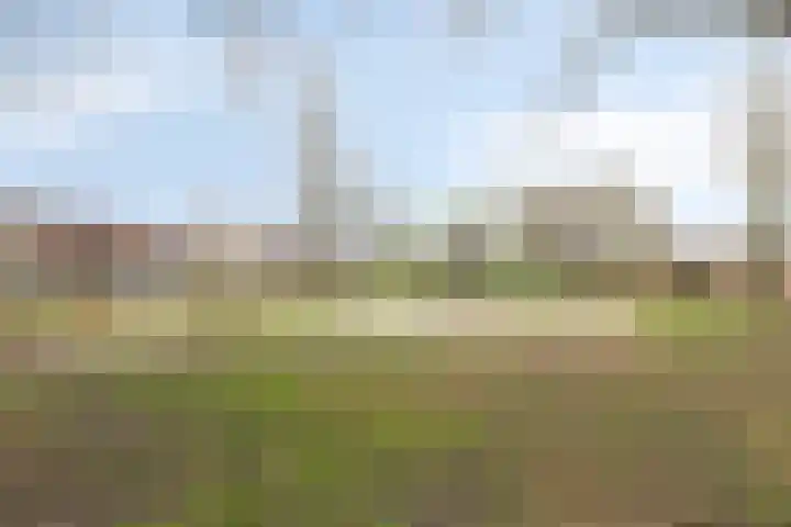 Linde 12 Mierlo thumbnail 80
