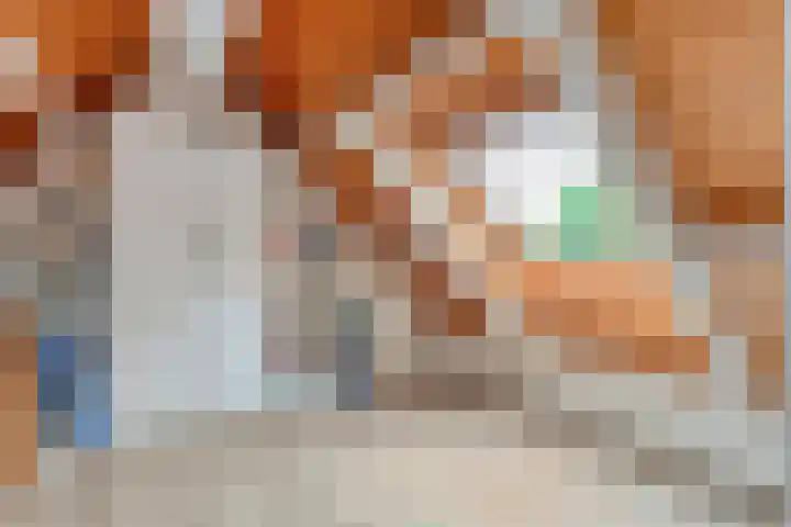 Linde 14 Mierlo thumbnail 39