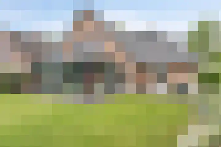 Linde 14 Mierlo thumbnail 42