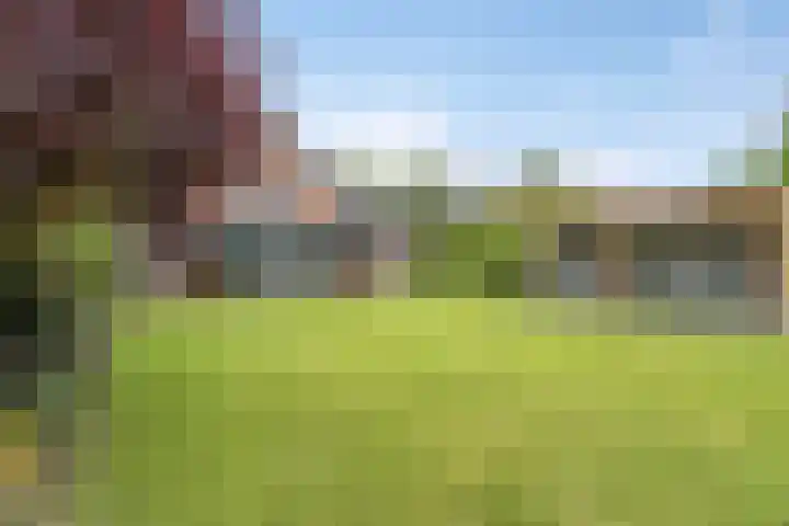Linde 14 Mierlo thumbnail 43