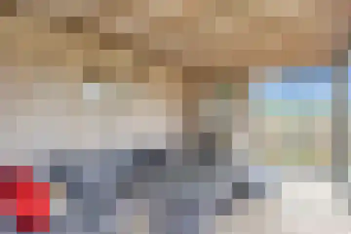 Linde 14 Mierlo thumbnail 45