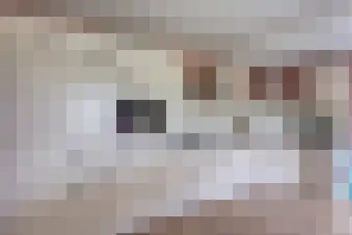 Linde 14 Mierlo thumbnail 6