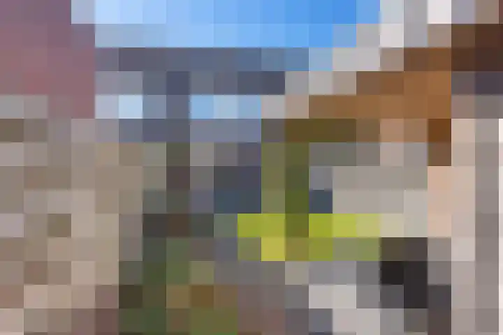 Linde 26 Leek thumbnail 4