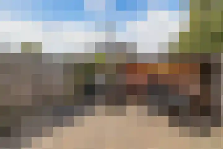 Linde 45 Drachten thumbnail 38
