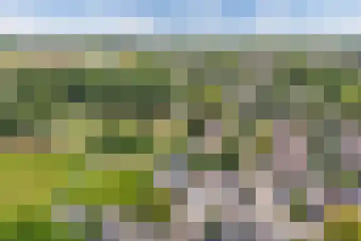 Linde 45 Drachten thumbnail 44