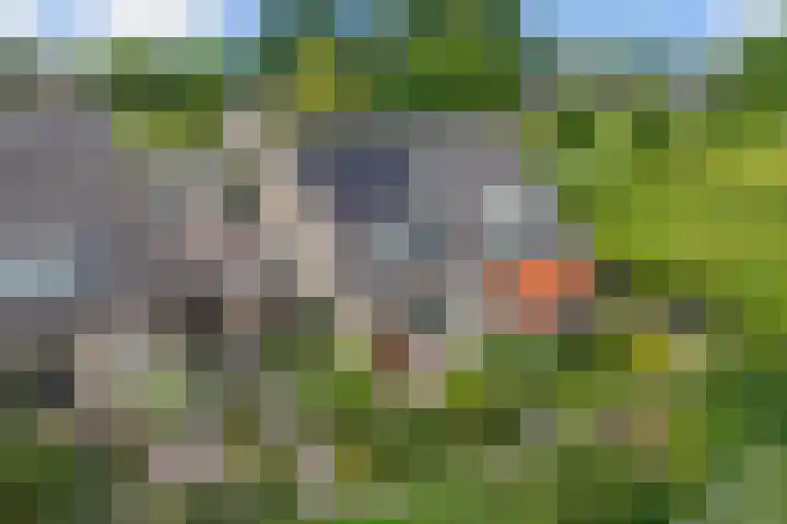Linde 45 Drachten thumbnail 5