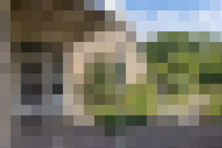 Linde 45 Drachten thumbnail 6