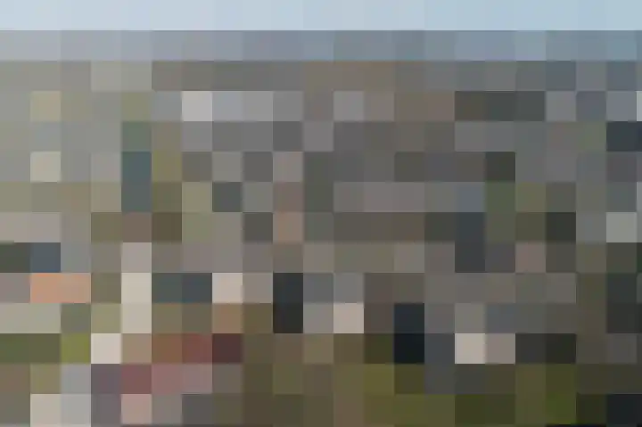 Linde 6 Barendrecht thumbnail 30