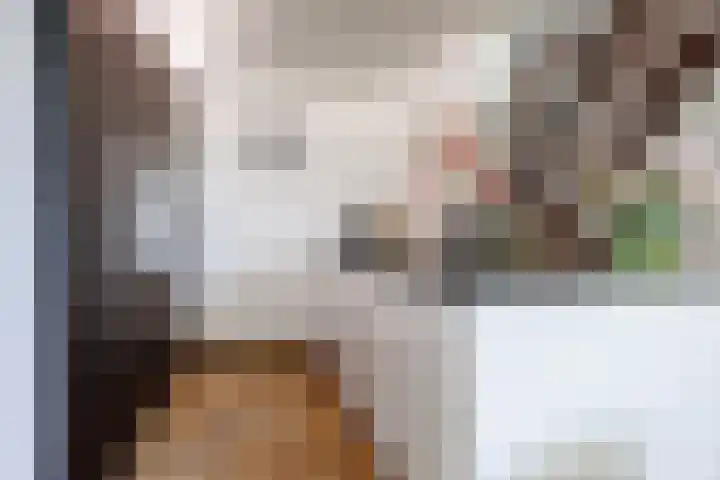 Lindeboom 48 Mook thumbnail 13