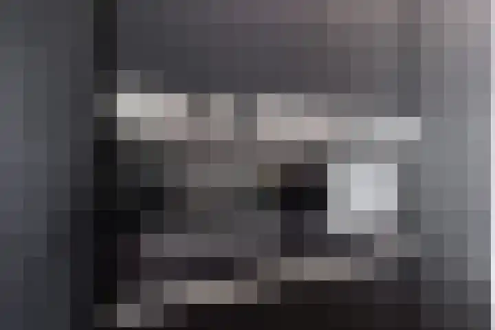 Lindeboom 48 Mook thumbnail 15