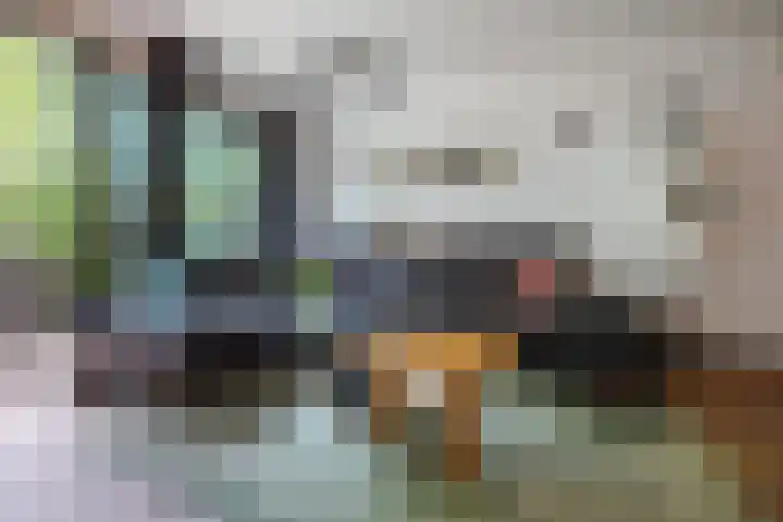 Lindeboom 48 Mook thumbnail 18