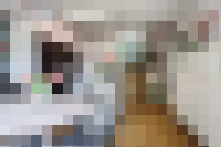 Lindeboom 48 Mook foto 2