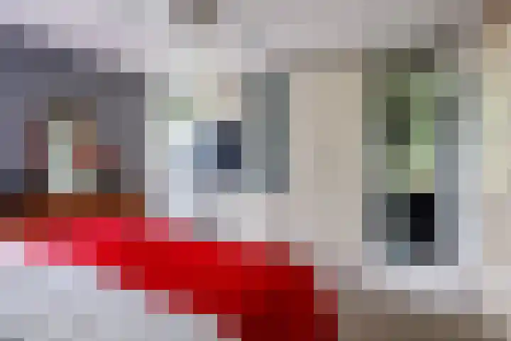 Lindeboom 48 Mook thumbnail 22