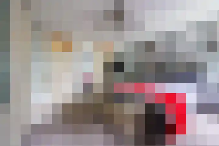 Lindeboom 48 Mook thumbnail 23