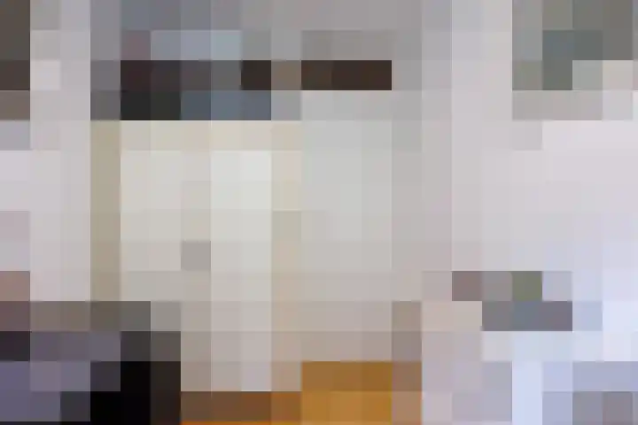 Lindeboom 48 Mook thumbnail 25