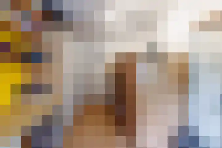Lindeboom 48 Mook thumbnail 28