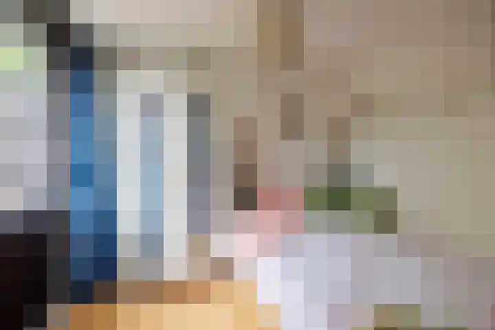 Lindeboom 48 Mook thumbnail 29
