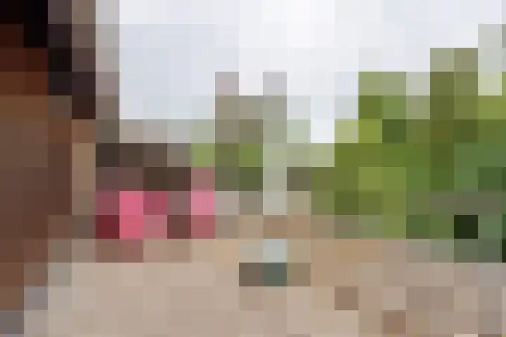Lindeboom 48 Mook thumbnail 34