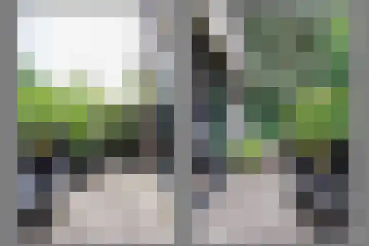 Lindeboom 48 Mook thumbnail 36