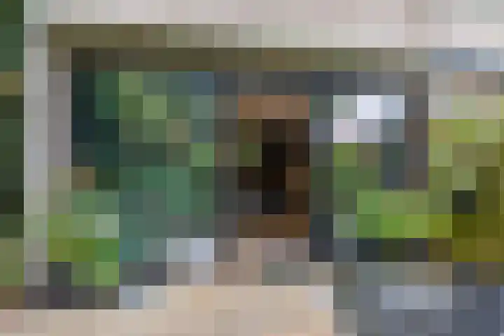 Lindeboom 48 Mook thumbnail 37