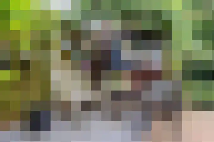 Lindeboom 48 Mook thumbnail 38