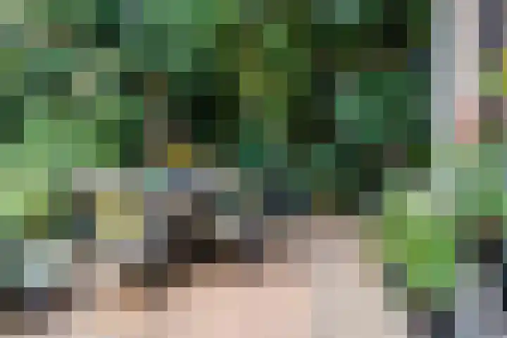 Lindeboom 48 Mook thumbnail 39