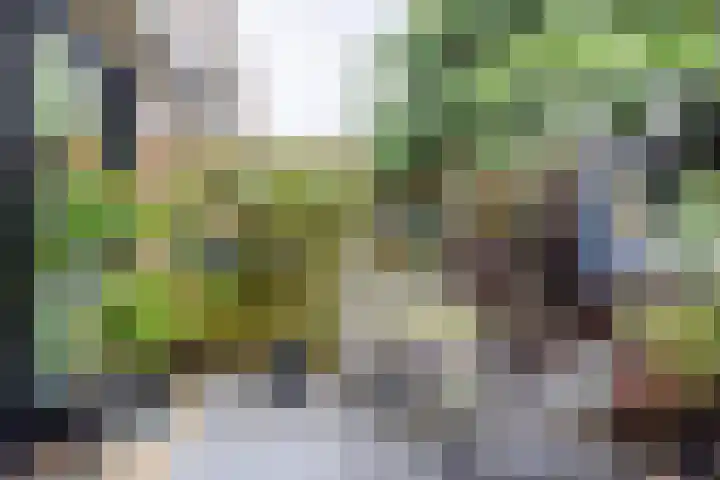 Lindeboom 48 Mook thumbnail 40