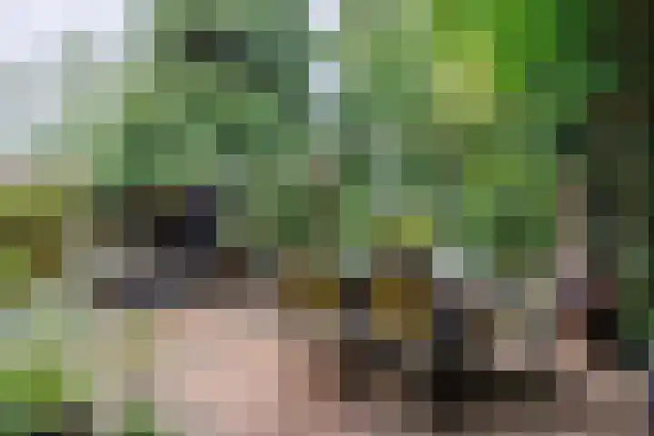 Lindeboom 48 Mook thumbnail 41