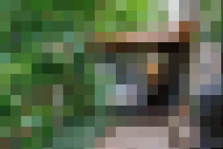 Lindeboom 48 Mook thumbnail 42