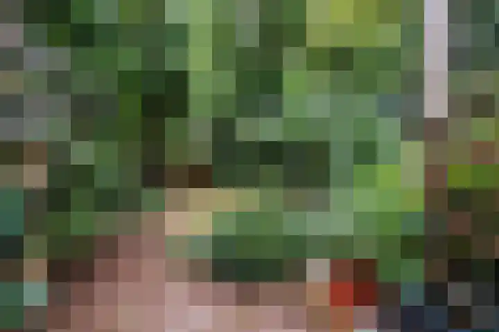 Lindeboom 48 Mook thumbnail 43