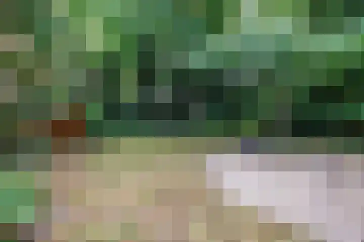 Lindeboom 48 Mook thumbnail 44