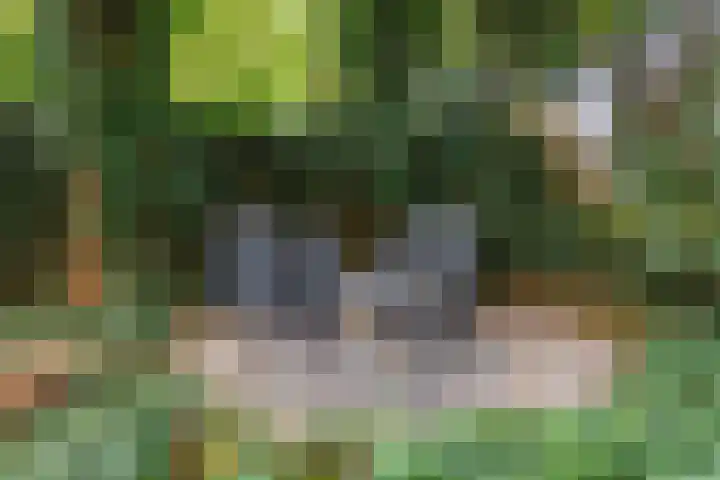 Lindeboom 48 Mook thumbnail 45