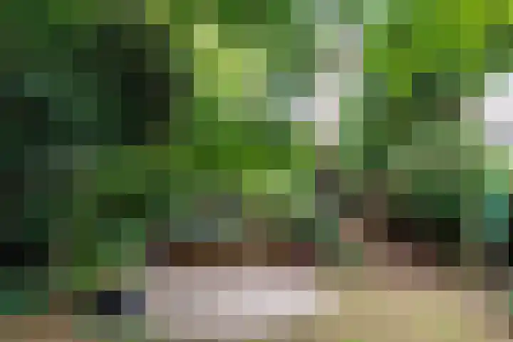 Lindeboom 48 Mook thumbnail 46